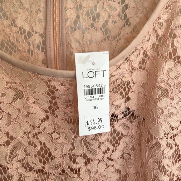 NWT Ann Taylor Loft Eyelash Lace Pink Sheath Dress Mini Above Knee - Picture 3 of 6